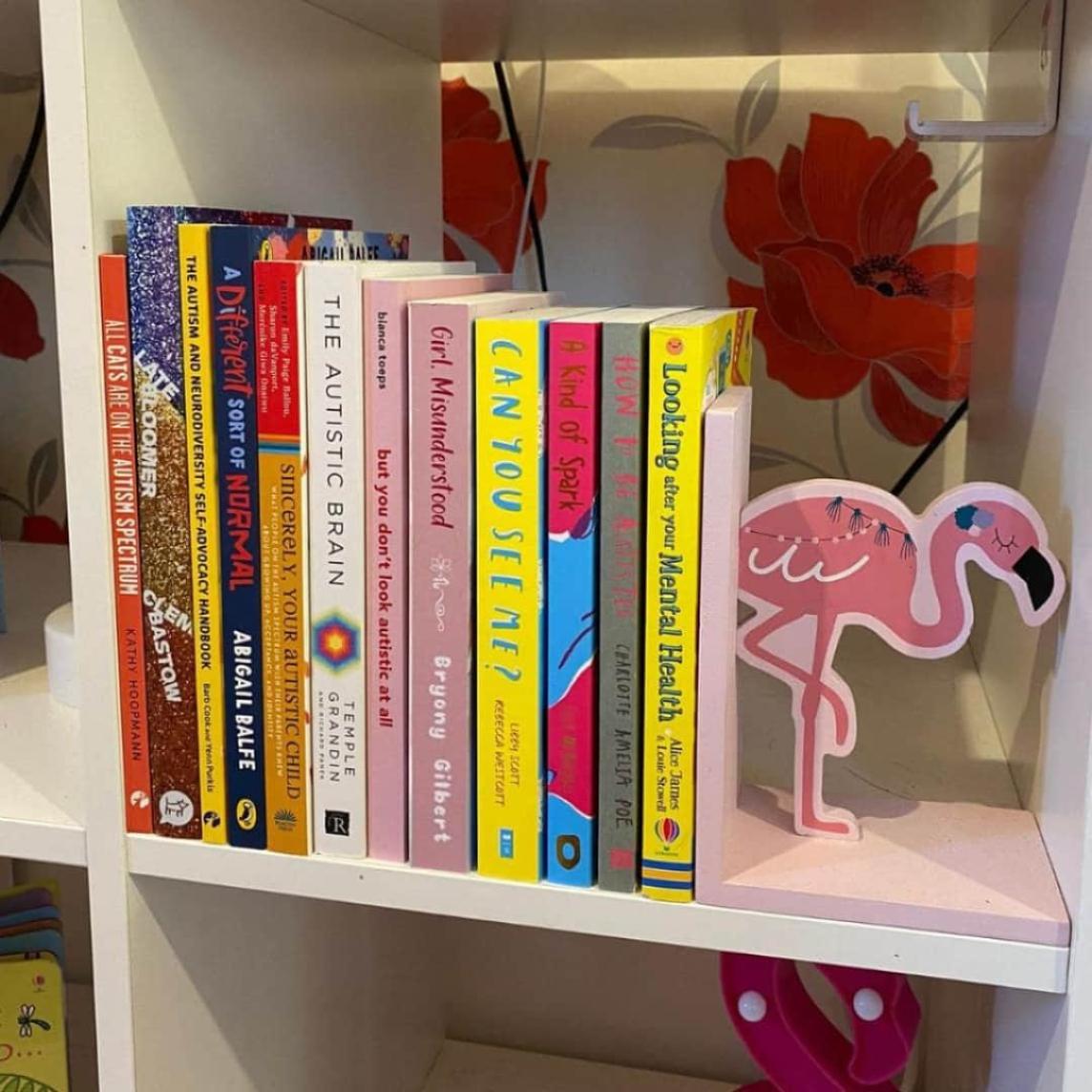 A selection of childrens books lined up on a book shelf